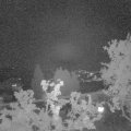 Webcam_20250501-220000
