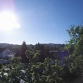 Webcam_20250511-080000