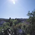 Webcam_20250630-094500