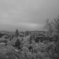 Webcam_20250717-051500