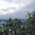 Webcam_20250717-081500