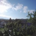Webcam_20250724-080000