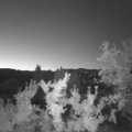 Webcam_20250824-053000
