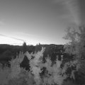 Webcam_20250826-054500