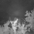 Webcam_20250827-051500