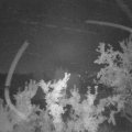 Webcam_20250828-053000