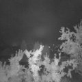 Webcam_20250828-054500
