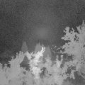 Webcam_20250830-053000