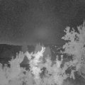 Webcam_20250831-051500