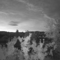 Webcam_20250901-054500