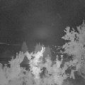 Webcam_20250903-051500