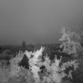 Webcam_20250730-051500