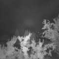 Webcam_20250805-050000