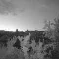 Webcam_20250806-051500