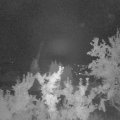 Webcam_20250903-053000