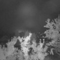 Webcam_20250910-051500