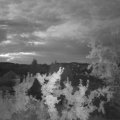 Webcam_20250807-051500